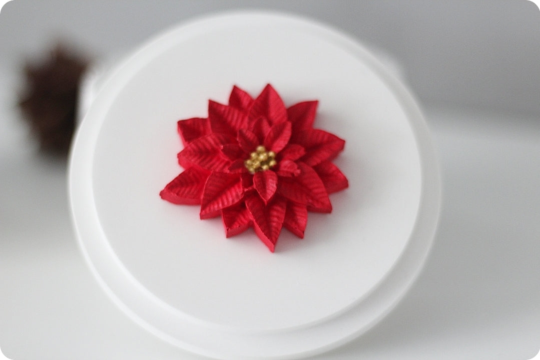 Raysin Schmuckdose Weihnachtsstern